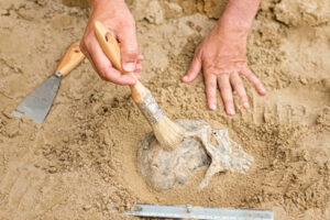 Doctorado en Arqueología Clásica