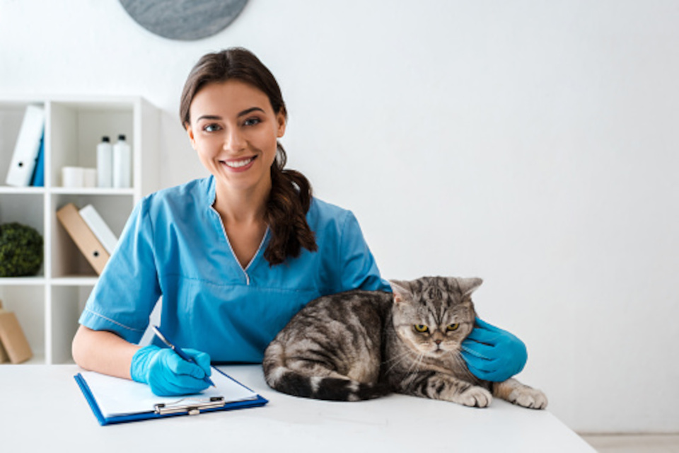 Doctorado en Medicina y Sanidad