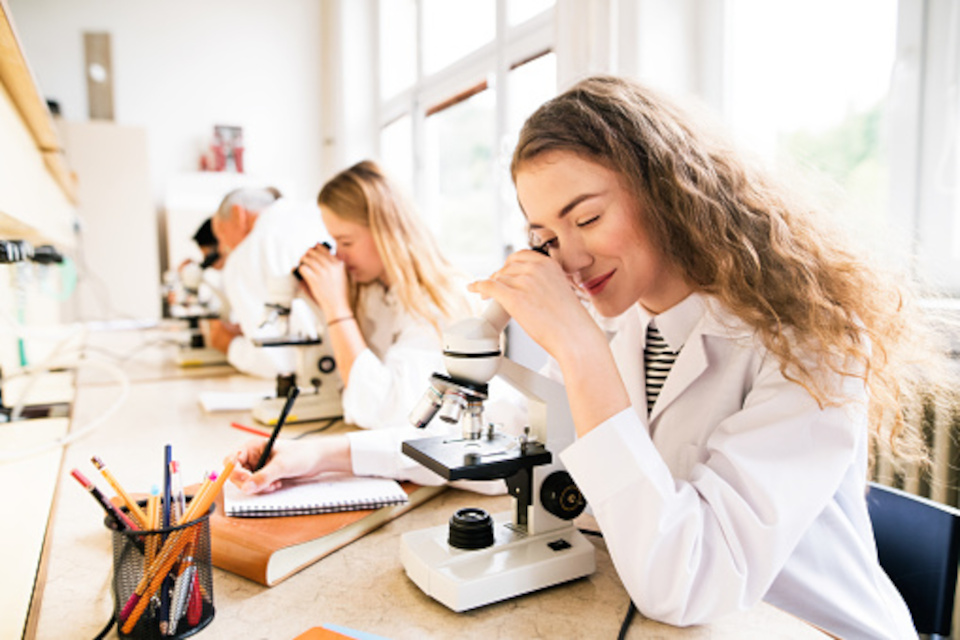 Doctorado en Química